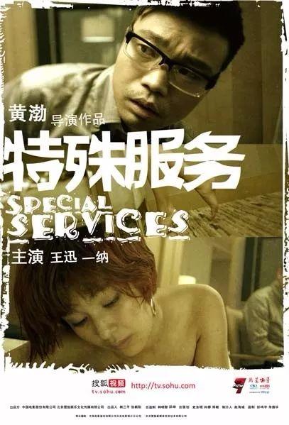国产特殊服务在线,创新与挑战并存的发展之路