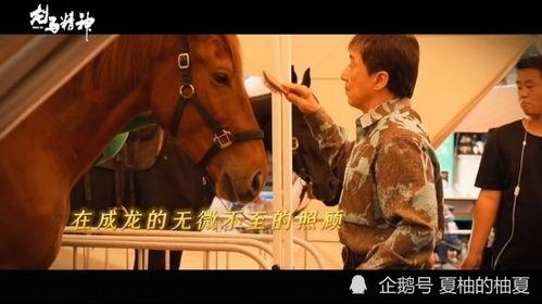 国产赤兔在线电影,传奇战马的风华岁月