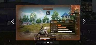 国产在线下载游戏没有,在线下载新体验概览